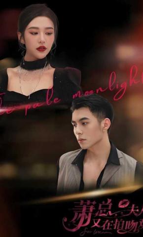 短剧萧总，夫人又在拍吻戏海报