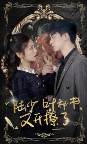 短剧《陆少叶秘书又开撩了》海报