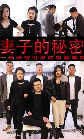 短剧妻子的秘密海报