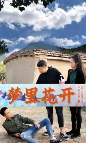 短剧梦里花开海报