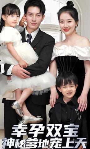 短剧幸孕双宝，神秘爹地宠上天海报