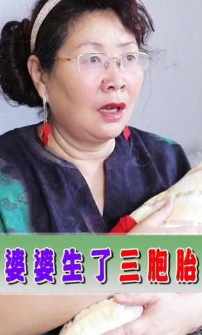 短剧婆婆生了三胞胎海报