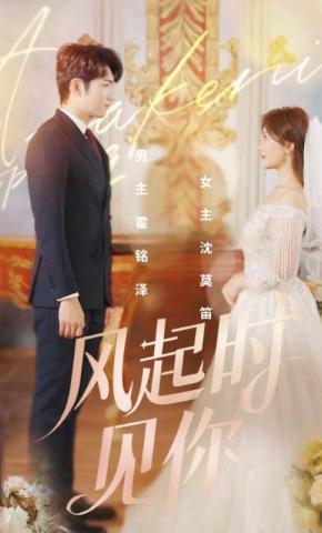 短剧《风起时见你》海报