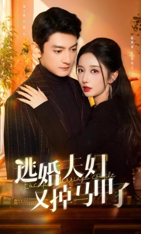 短剧逃婚夫妇又掉马甲了海报