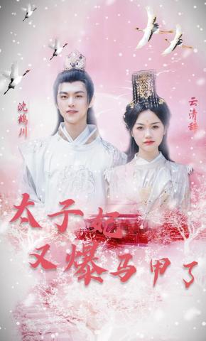 短剧太子妃又爆马甲了海报