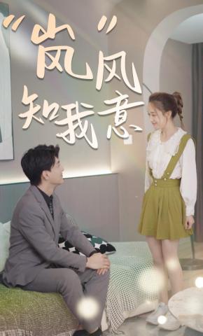 短剧“岚”风知我意海报