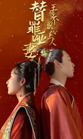 短剧替罪哑妻：王爷不识心上人海报