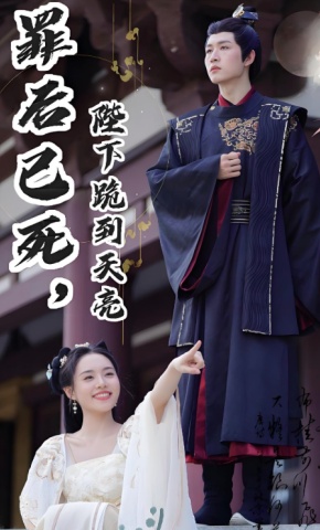 短剧罪后已死，陛下跪到天亮海报