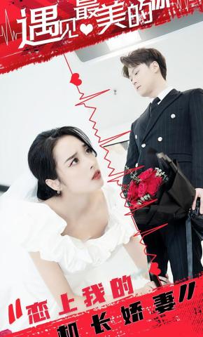 短剧恋上我的机长娇妻海报