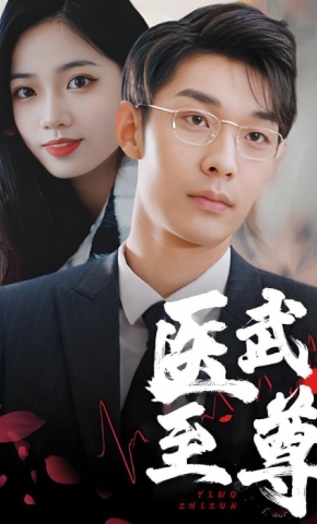 短剧医武至尊海报