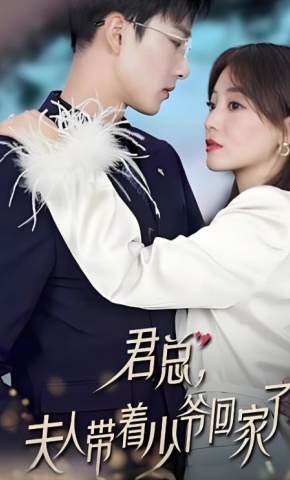 短剧君总，夫人带着少爷回家了海报