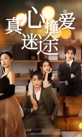 短剧真心撞爱迷途海报