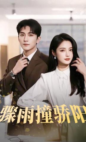 短剧骤雨撞骄阳海报