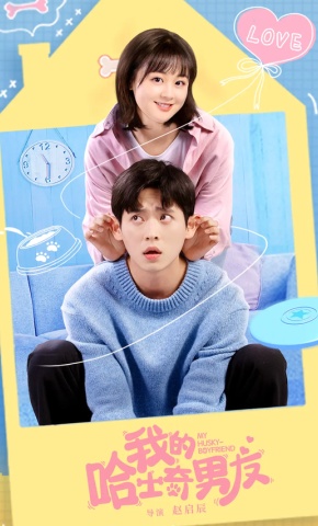 短剧《我的哈士奇男友》海报