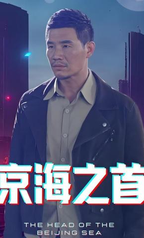 短剧《京海之首》海报
