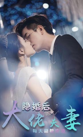 短剧《隐婚后大佬夫妻每天撒糖虐渣》海报