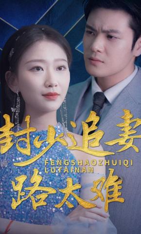 短剧《封少追妻路太难》海报