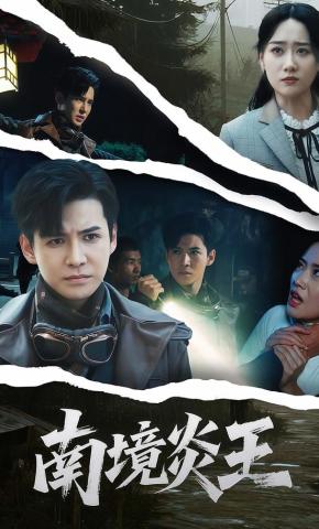 短剧南境炎王海报