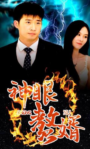 短剧《神眼赘婿》海报