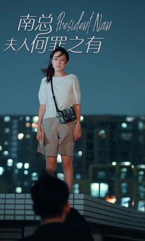 短剧南总，夫人何罪之有海报