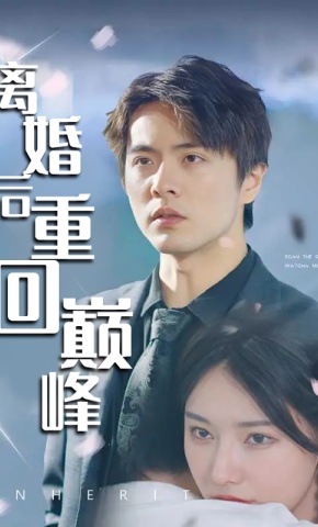 短剧《离婚后重回巅峰》海报