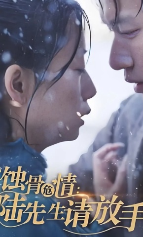 短剧《蚀骨危情：陆先生请放手》海报