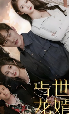 短剧《丐世龙婿》海报