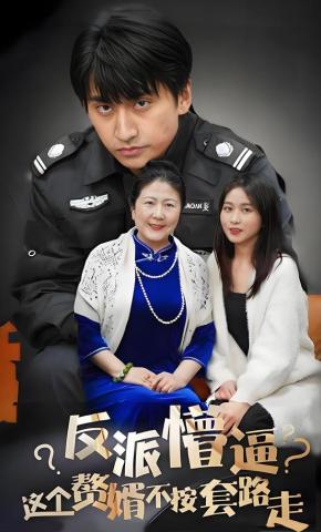 短剧反派懵逼：这个赘婿不按套路走海报