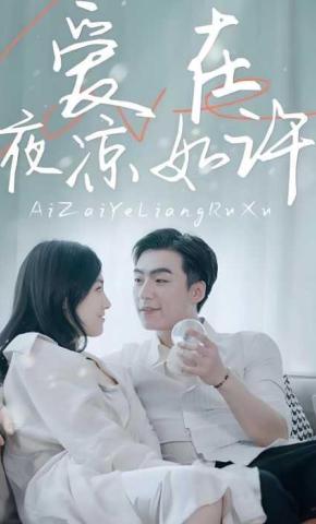 短剧《爱在夜凉如许》海报