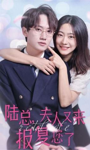 短剧陆总，夫人又来报复您了海报