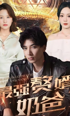 短剧《最强赘婿奶爸》海报