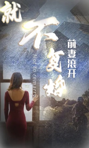 短剧就不复婚前妻滚开海报