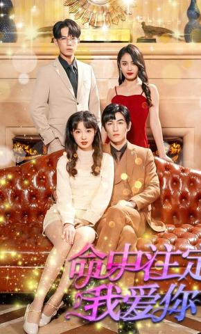 短剧《命中注定我爱你》海报
