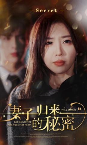 短剧《妻子归来的秘密》海报