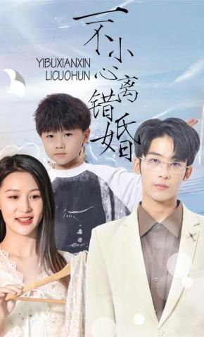 短剧《一不小心离错婚》海报