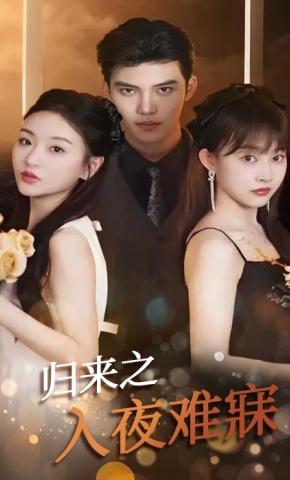 短剧《归来之入夜难寐》海报