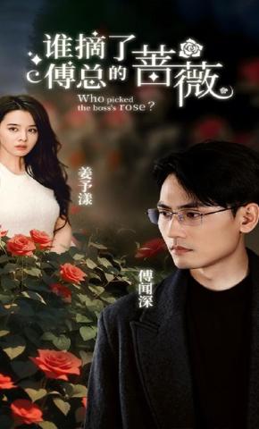 短剧《谁摘了傅总的蔷薇》海报