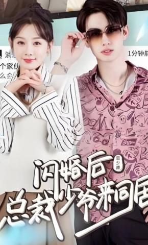 短剧闪婚后，总裁少爷来同居海报