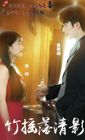 短剧竹摇落清影海报