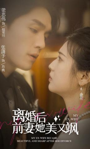 短剧《离婚后前妻她美又飒》海报