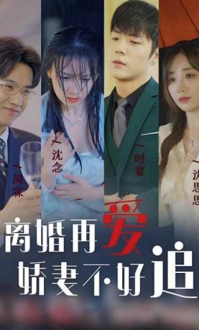 短剧离婚再爱 娇妻不好追海报