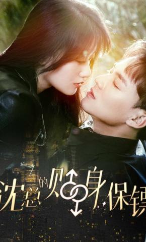 短剧沈总的贴身保镖海报