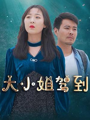 短剧大小姐驾到海报