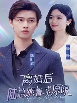 短剧《离婚后，陆总跪着求原谅》海报