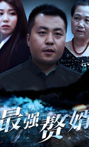 短剧最强赘婿海报