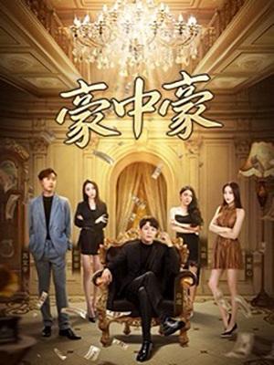 短剧豪中豪海报