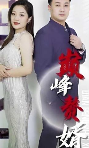 短剧巅峰赘婿海报