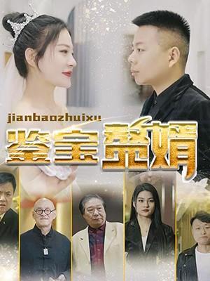 短剧鉴宝赘婿海报