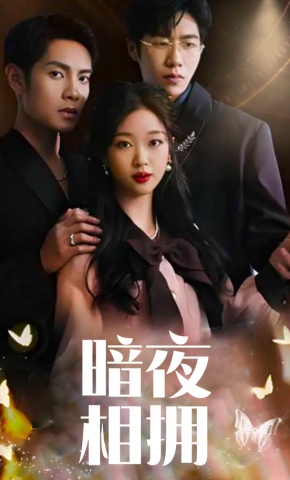 短剧暗夜相拥海报