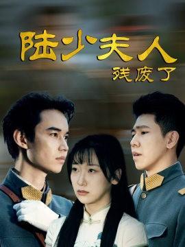 短剧陆少夫人残废了海报